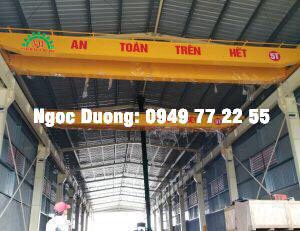 CẦU TRỤC DẦM ĐÔI 5 TẤN